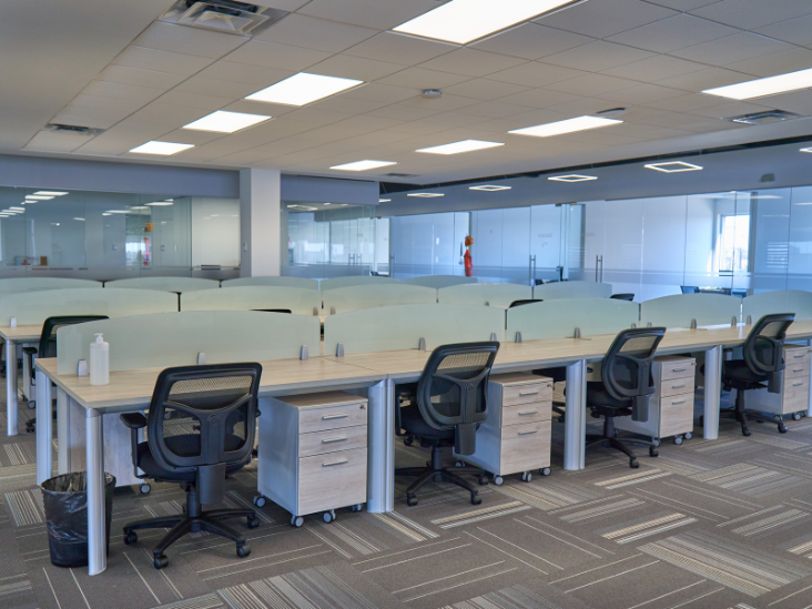 area capacitacion CIITA